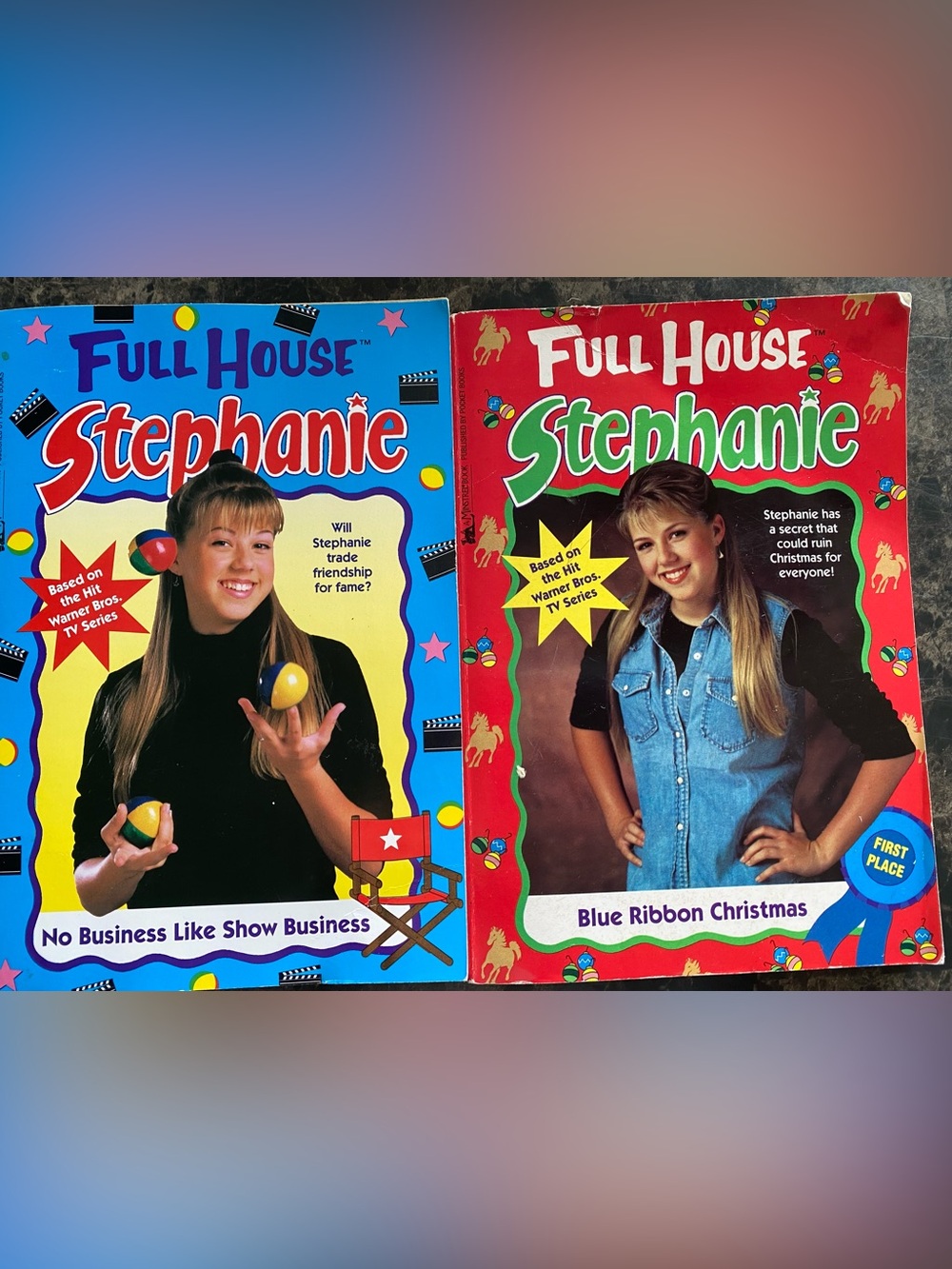 Full House Stephanie Books